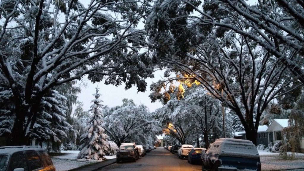 Use our winter driving tips on this snowy street in Calgary.